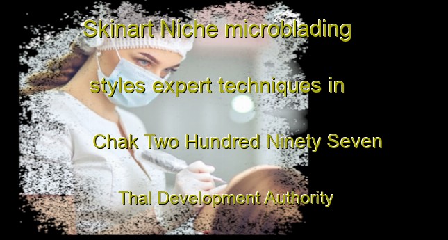 Skinart Niche microblading styles expert techniques in Chak Two Hundred Ninety Seven Thal Development Authority area | MicrobladingTraining | MicrobladingClasses | SkinartTraining-Pakistan